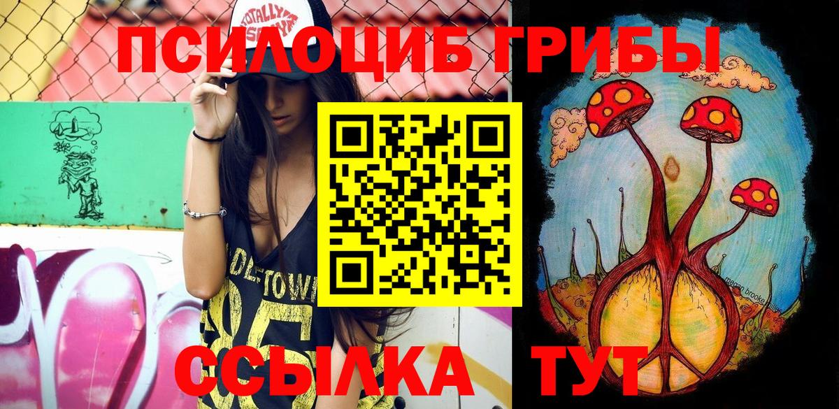 Псилоцибиновые грибы Cubensis  Вход с VPN  Псилоцибиновые грибы мицелий  Волоколамск 